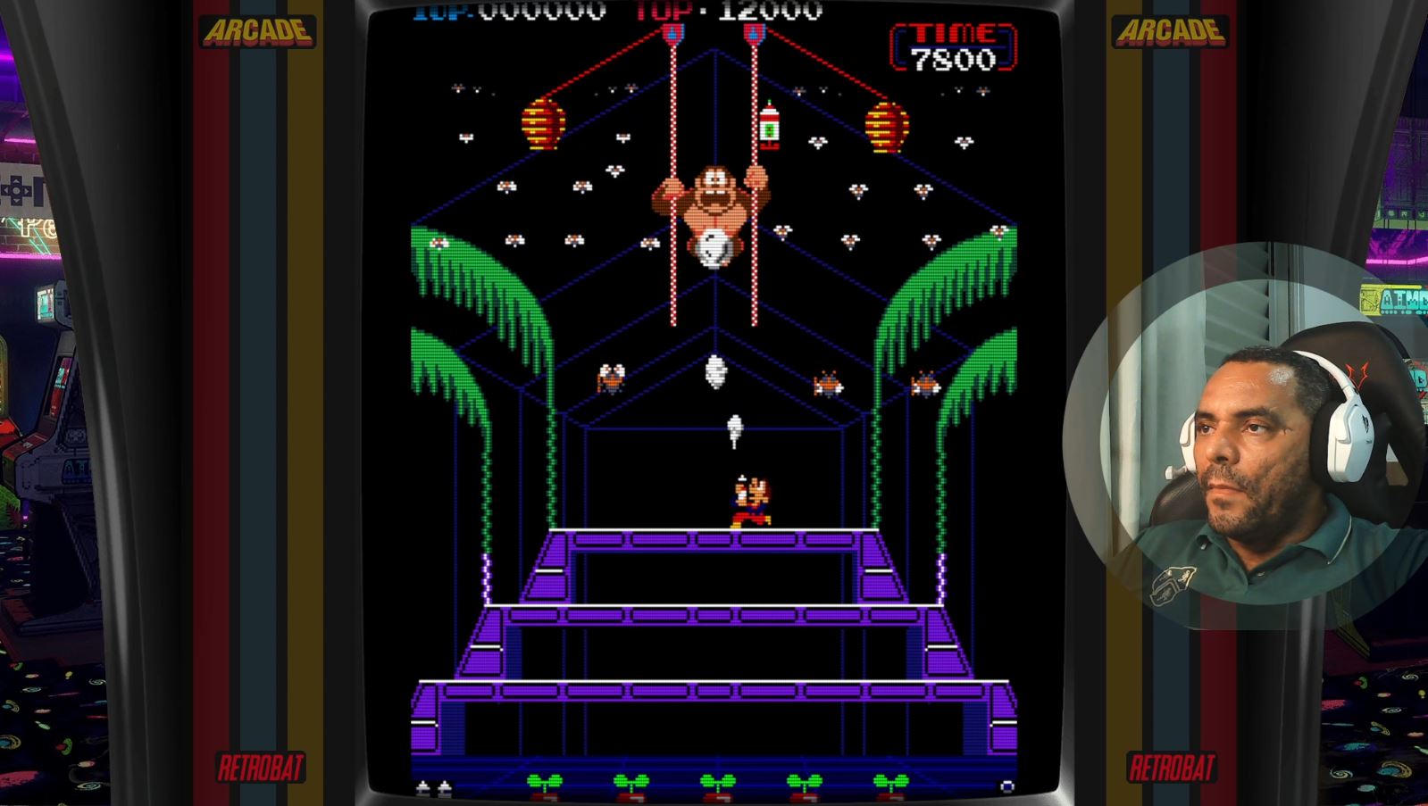 Donkey Kong 3 - hqpixel